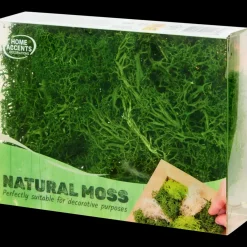 Decoratief mos | Action NL