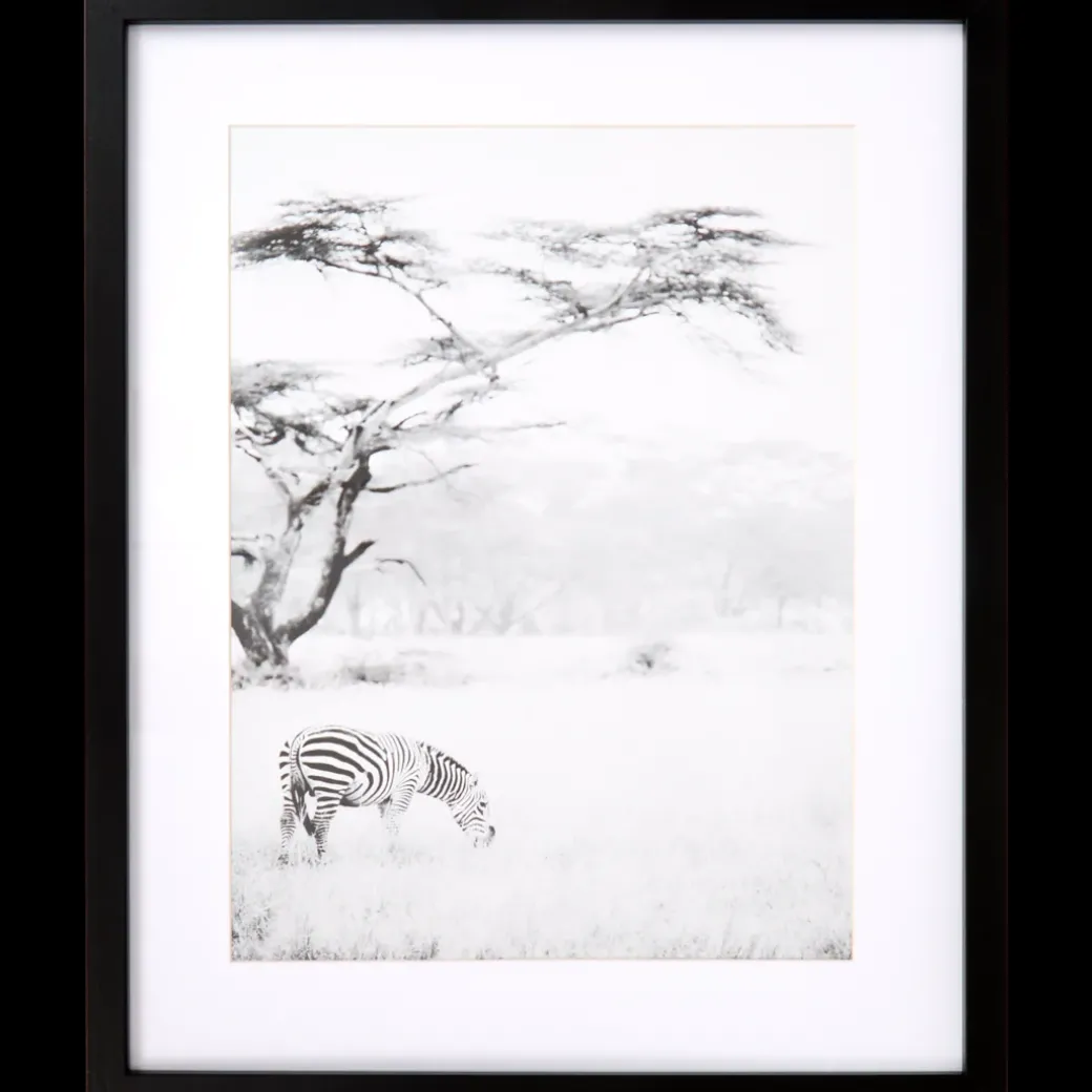 Fotolijst Texas 40 x 50 cm | Action NL