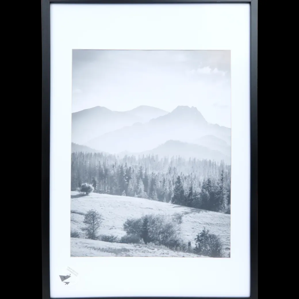 Houten fotolijst 73 x 53 x 2,5 cm | Action NL