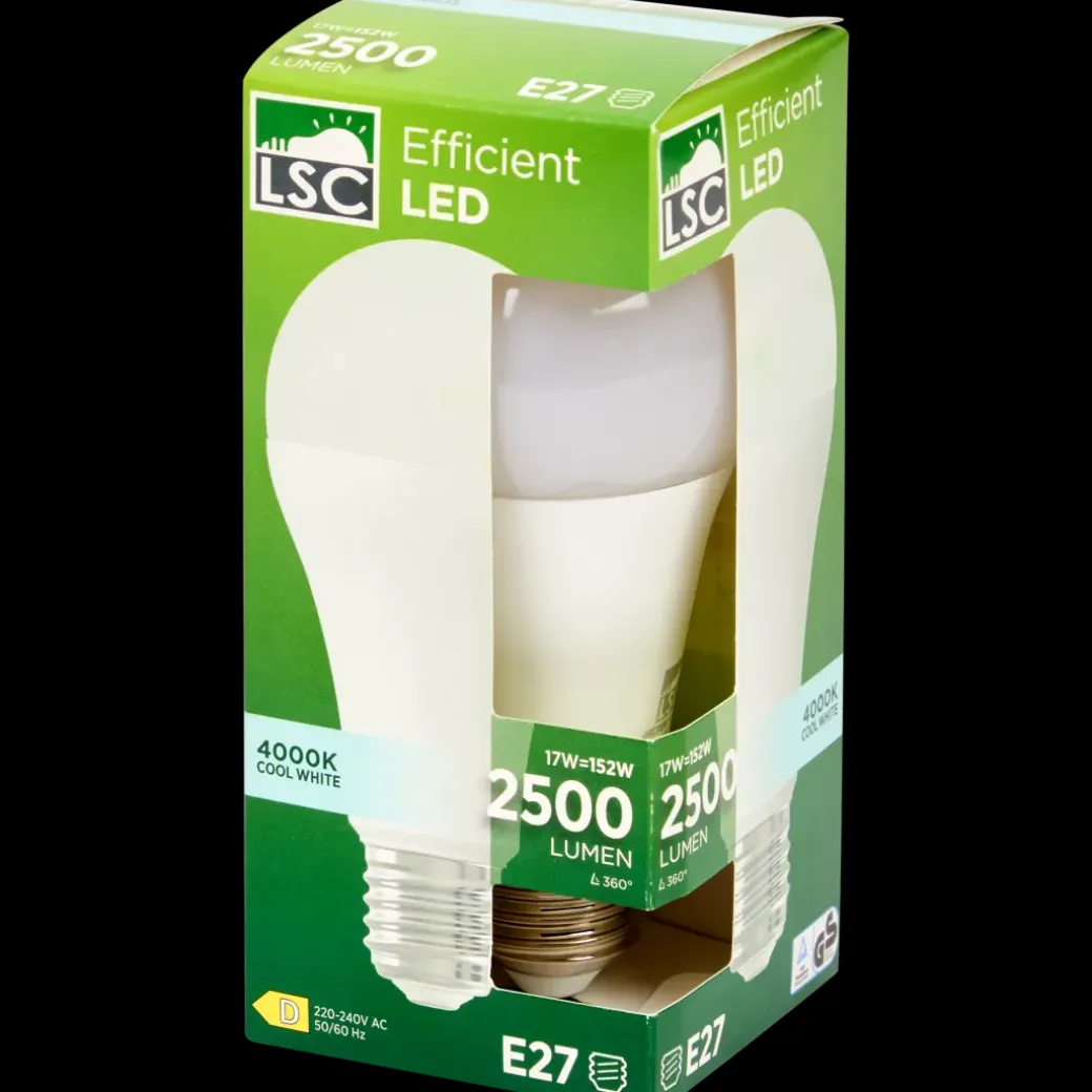 LSC ledlamp 17 watt 2500 lm | Action NL