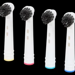 Opzetborstels Houtskool | Action NL