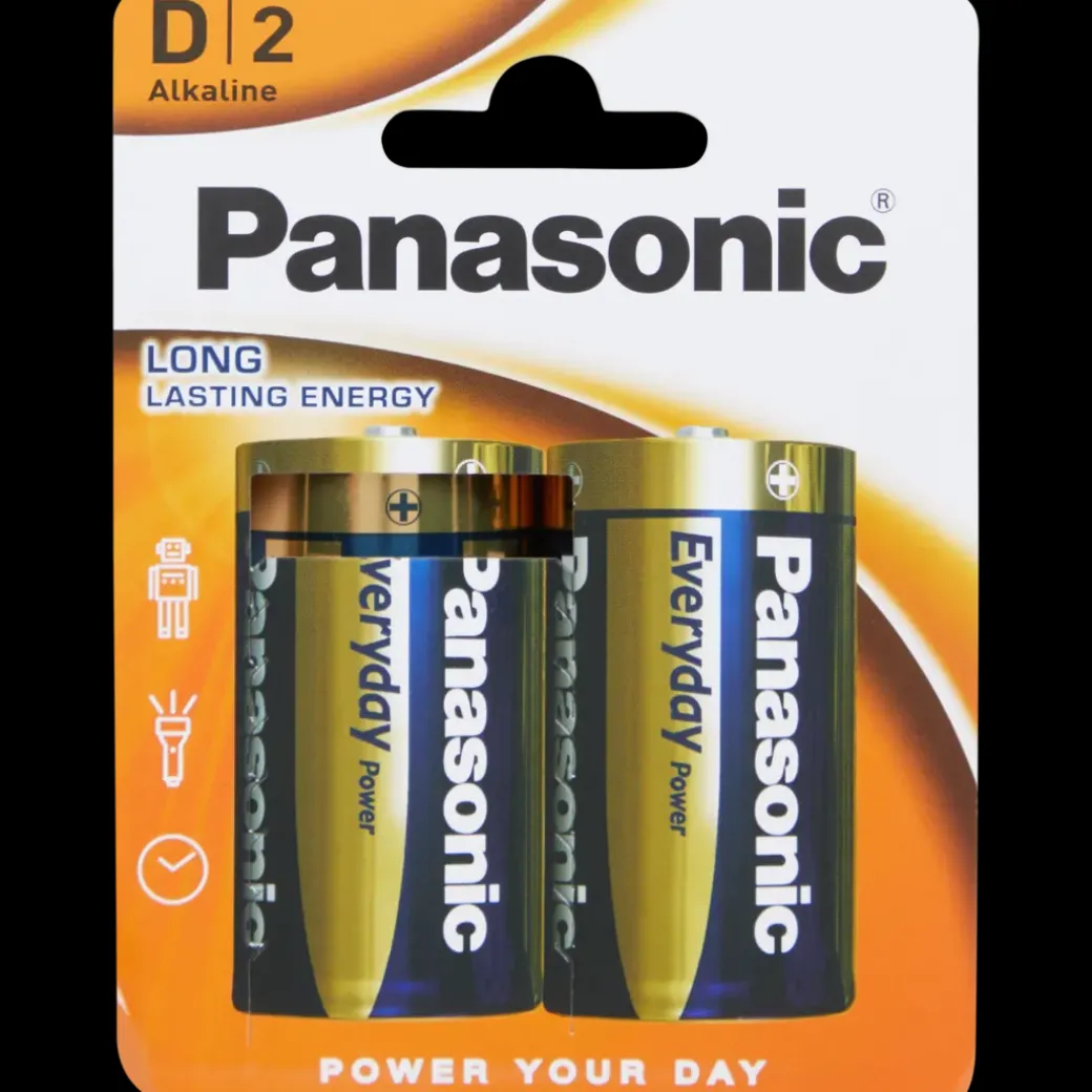 Panasonic batterijen D 2 Stuks | Action NL