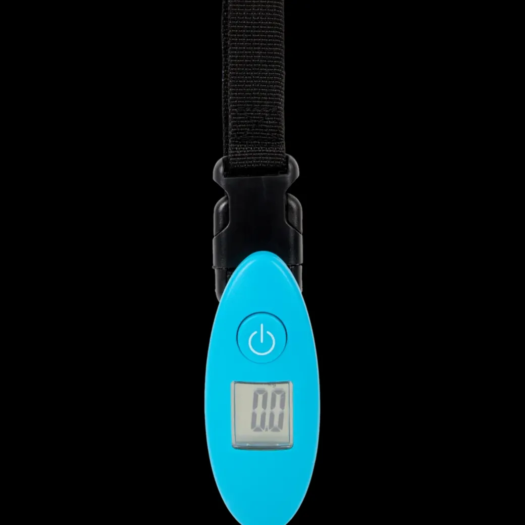 Spilbergen bagageweegschaal | Action NL