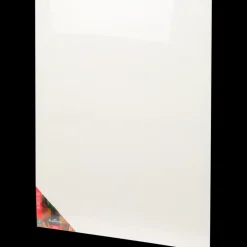 Van Bleiswijck canvas | Action NL