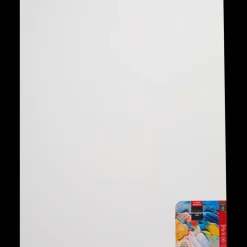 Van Bleiswijck canvas schildersdoek | Action NL