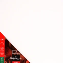 Van Bleiswijck schilderspanelen | Action NL